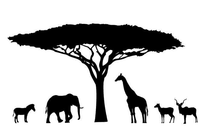 Lion Head Silhouette Vinyl Decal